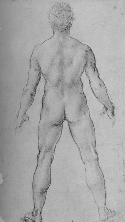 बैक से देखा गया एक न्यूड मैन, c1480 1945 द्वारा Leonardo da Vinci