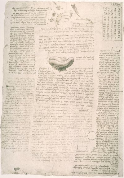 एनाटॉमी पढ़ाई द्वारा लियोनार्डो दा विंची