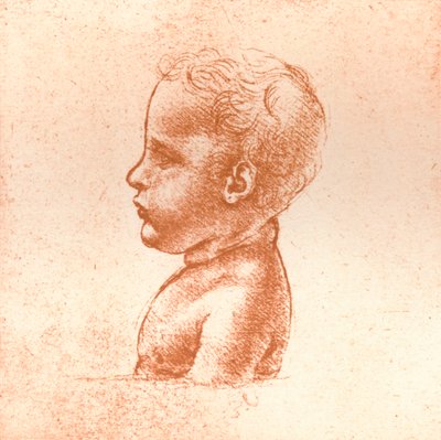एक लड़के का वक्ष, c1472-c1519 1883 द्वारा लियोनार्डो दा विंची
