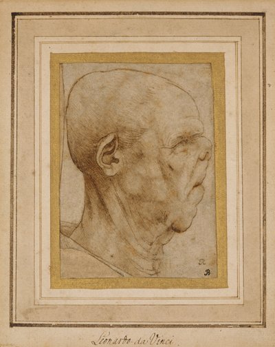 प्रोफ़ाइल में एक बूढ़े आदमी के सिर की दाईं ओर, c.1507 द्वारा लियोनार्डो दा विंची