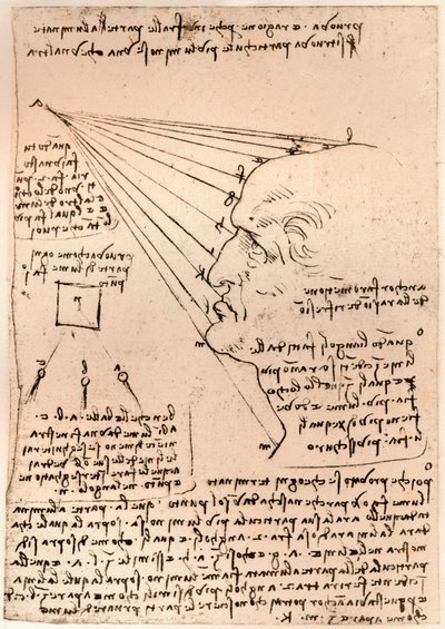 एक पुरुष प्रधान का चित्रण, पेंटिंग के अभ्यास को दर्शाते हुए, c1472-c1519 1883 द्वारा लियोनार्डो दा विंची