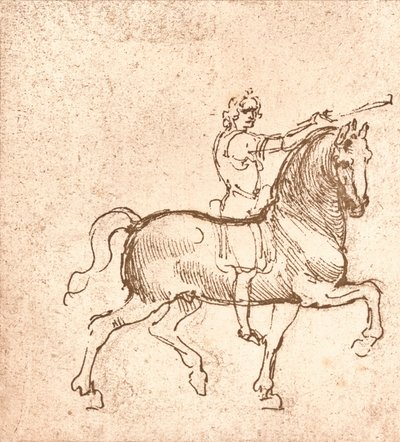 एक चलने वाले घोड़े का चित्र, c1472-c1519 1883 द्वारा लियोनार्डो दा विंची