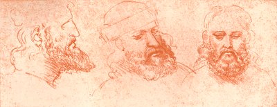 प्राच्य प्रमुखों का चित्रण, लाल चाक में, c1472-c1519 1883 द्वारा लियोनार्डो दा विंची