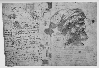 एक दाढ़ी वाले आदमी के सिर और कंधे, c1480 1945 द्वारा लियोनार्डो दा विंची