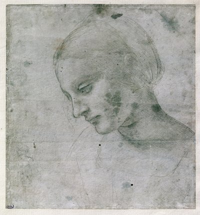 एक युवा महिला का प्रमुख या वर्जिन का प्रमुख, c.1490 (कागज पर चांदी की चौकी) द्वारा लियोनार्डो दा विंची
