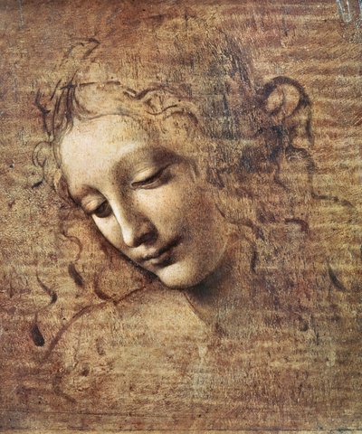 सिर के एक युवा महिला के बाल कटे हुए बाल या लेदा (लकड़ी पर गौचे) द्वारा Leonardo da Vinci