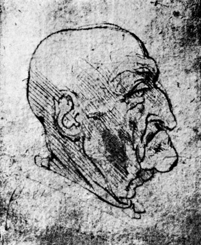 एक बूढ़े आदमी, 1913 के प्रमुख द्वारा लियोनार्डो दा विंची