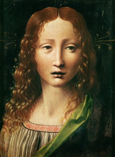 उद्धारकर्ता का सिर द्वारा Leonardo da Vinci