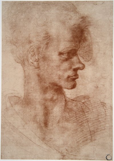 लियोनार्डो दा विंची (लियोनार्डो दा विंची) (1452 - 1519): एक युवक का कैरिकेचर चित्र (कल्पना कीजिए) द्वारा लियोनार्डो दा विंची