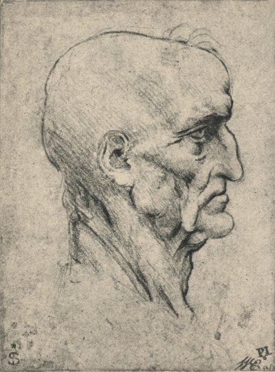 एक बुजुर्ग बाल्ड मैन के अधिकार के लिए प्रोफाइल, c1480 1945 द्वारा लियोनार्डो दा विंची