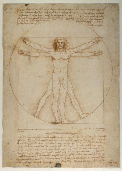 विट्रुवियस के अनुसार मानव रूप की आनुपातिक योजना द्वारा Leonardo da Vinci