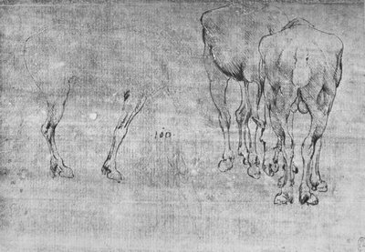 हॉर्स ग्राज़िंग का अध्ययन, c1480 1945 द्वारा लियोनार्डो दा विंची