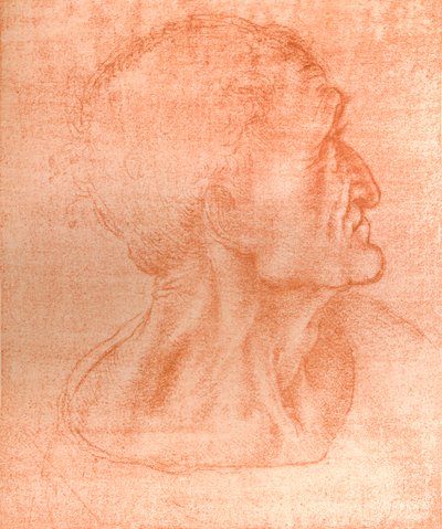 जूडस के प्रमुख के लिए अध्ययन &39;द लास्ट सपर&39;, c1494-c1499 1883 में। द्वारा लियोनार्डो दा विंची