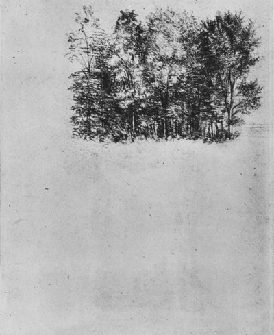 एक Coppice का अध्ययन, c1480 1945 द्वारा लियोनार्डो दा विंची
