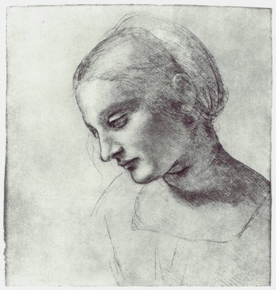 एक मैडोना के प्रमुख, c1484-1486 द्वारा Leonardo da Vinci