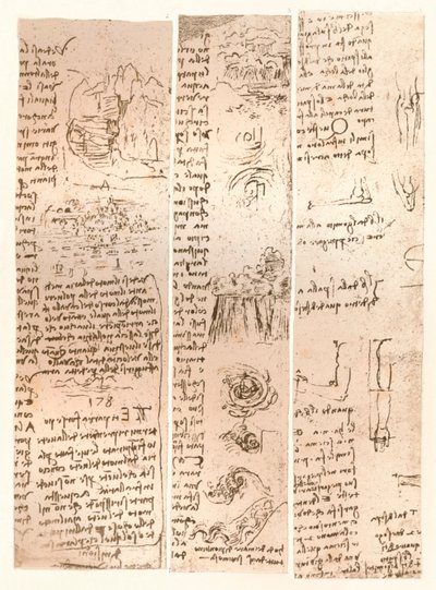 तीन चित्र, c1472-c1519 1883 द्वारा लियोनार्डो दा विंची
