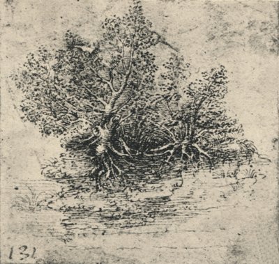 स्ट्रीम के बैंक पर दो पेड़, c1480 1945 द्वारा लियोनार्डो दा विंची