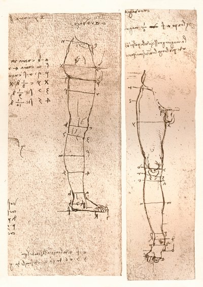 मानव चित्र के अनुपात के सिद्धांत को स्पष्ट करते हुए दो चित्र, c1472-c1519 1883 द्वारा लियोनार्डो दा विंची