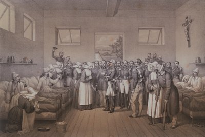 1855 में सेबस्टोपोल पर कब्जा करने के बाद घायल सैनिकों का दौरा करने वाले मलकॉफ के ड्यूक एमीबल जीन जैक्स पेलिसियर (1794-1864) द्वारा Lepan