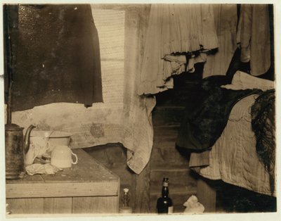 थम्बोर के पास थेरॉन, न्यू जर्सी, 1910 के पास थियोडोर बुद्ध की बोग पर बीनने वालों द्वारा इस्तेमाल की गई एक झोंपड़ी का कोना द्वारा लेविस विक्स हाइन