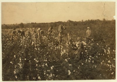 मैक्किनी, टेक्सास, 1913 के पास कपास उठाता परिवार द्वारा लेविस विक्स हाइन