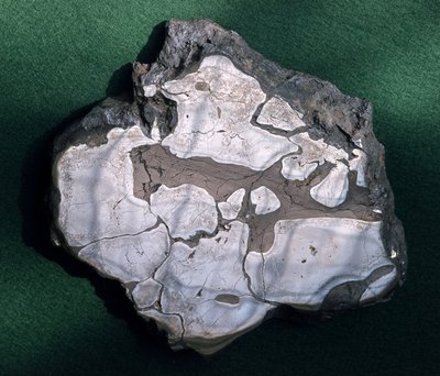 उल्कापिंड, अज्ञात काल - प्राकृतिक इतिहास संग्रहालय, पेरिस द्वारा अज्ञात अज्ञात