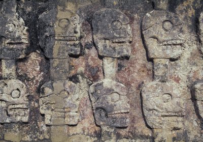 मानव खोपड़ी को दर्शाती राहत, त्ज़ोम्पांतली का विवरण, या खोपड़ी की दीवार, चिचेन इट्ज़ा का पुरातात्विक स्थल (यूनेस्को विश्व धरोहर स्थल) द्वारा अज्ञात अज्ञात