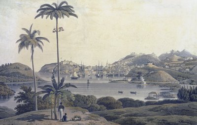 विलियम डैनियल (1769-1837) द्वारा उत्कीर्ण बेलमॉन्ट एस्टेट से लिया गया ग्रेनेडा द्वीप पर सेंट जॉर्ज के शहर का एक दृश्य, c.1810 द्वारा लेफ्टिनेंट कर्नल जे। विल्सन
