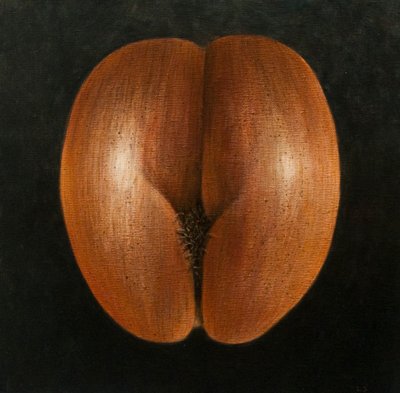 कोको डी मेर, 2010 (कैनवास पर एक्रिलिक) द्वारा लिंकन सेलिगमैन