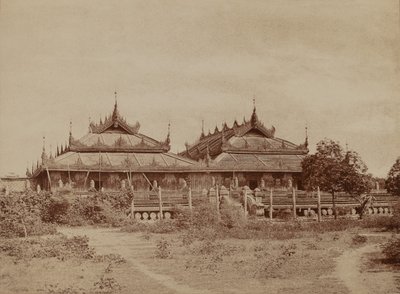 अमेरापुरा: पाई रोड क्यूंग द्वारा लिनिअस ट्राइप