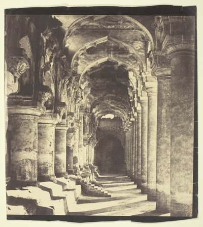  द्वारा लिनिअस ट्राइप
