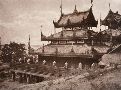 क्रमांक 8. ये-नान-ग्योंग [येनांगयांग] क्यूंग, 1855 द्वारा लिनिअस ट्राइप