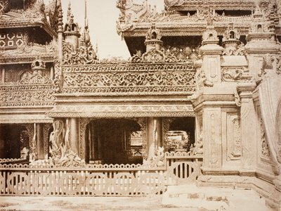  द्वारा लिनिअस ट्राइप