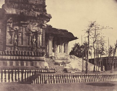 तंजौर: महान शिवालय, प्रवेश द्वार बाहर की ओर दिखता है द्वारा लिनिअस ट्राइप