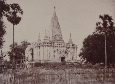 थायेट मायो: छावनी के दक्षिण में शिवालय द्वारा लिनिअस ट्राइप