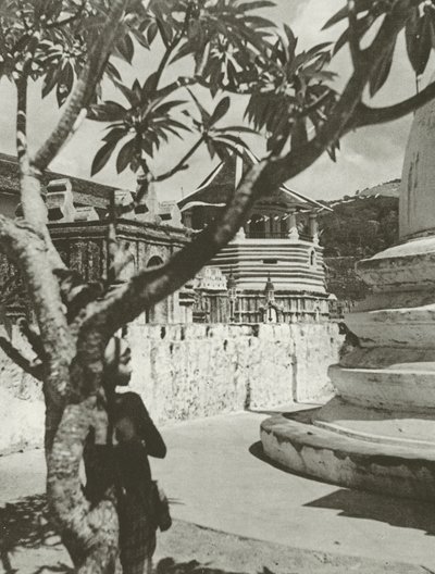 द्वारा लियोनेल वेंड्ट