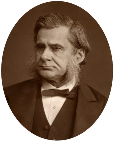प्रोफेसर थॉमस हेनरी हक्सले, 1880। द्वारा लॉक और व्हिटफील्ड