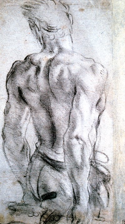 एक चित्र का अध्ययन, c1560-1609 द्वारा Lodovico Carracci