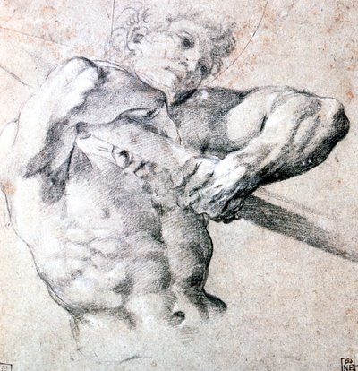 एक चित्र का अध्ययन, c1575-1619 द्वारा Lodovico Carracci
