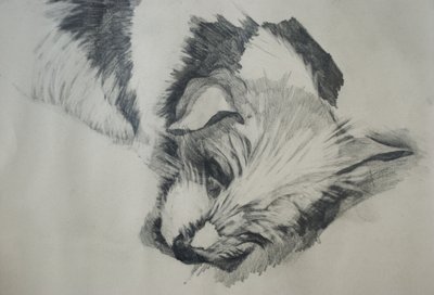 जैक रसेल, 2015 द्वारा लू गिब्स