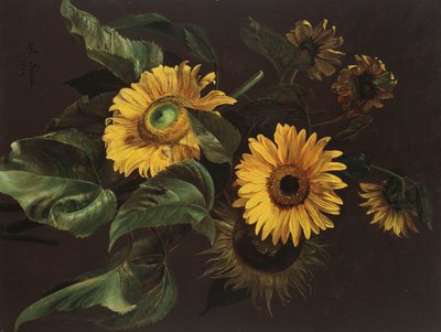सूरजमुखी, 1839 द्वारा Louis Apollinaire Sicard