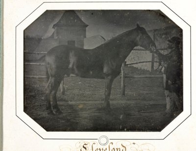 क्लीवलैंड, सी। 1842-1843। द्वारा लुई अगस्टे बिसन