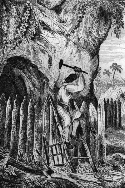 मैंने पलिसदे की दस पंक्तियाँ लगाईं। 1837 के फ्रांसीसी संस्करण "रॉबिन्सन क्रूसो" "रॉबिन्सन क्रूसो" की पुस्तक के लिए एम। डी सेन्सन की ड्राइंग के बाद उत्कीर्णन। द्वारा लुई अगस्टे डे सेनसन