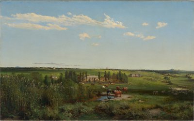 माउंट फियांस होमस्टेड, 1869 द्वारा लुई बुवेलोट