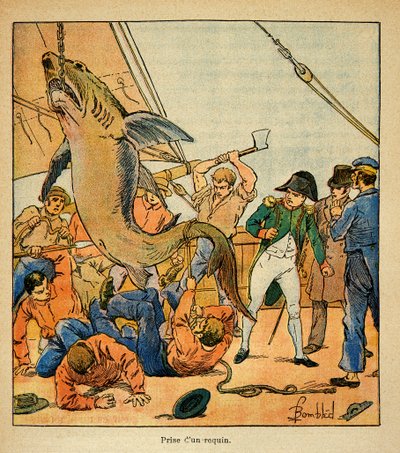 काउंट इमैनुएल डी लास केसेस (1766-1842) द्वारा "द मेमोरियल ऑफ सेंट हेलेन" पुस्तक से बॉम्बल्ड लुइस (1862-1927) का चित्रण: सम्राट नेपोलियन नॉर्थम्बरलैंड, निजी संग्रह पर एक शार्क को पकड़ने में भाग लेता है द्वारा लुई चार्ल्स ने बमबारी की