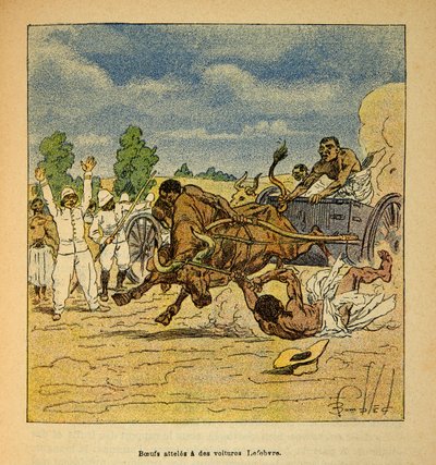 मेडागास्कर में युद्ध- 1885-1895 के फ्रांसीसी अभियानों का उपाख्यानात्मक इतिहास हेनरी गैली डिट गैलिचेट (1854-1922) द्वारा, लुई बॉम्बल्ड (1862-1927) द्वारा सचित्र: कारों लेफेब्रे, निजी संग्रह द्वारा पहुंचे Boeufs द्वारा लुई चार्ल्स ने बमबारी की