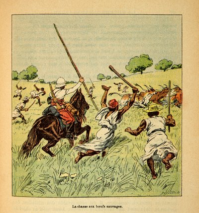 मेडागास्कर में युद्ध- 1885-1895 के फ्रांसीसी अभियानों का उपाख्यानात्मक इतिहास हेनरी गैली डिट गैलिचेट (1854-1922) द्वारा, लुई बॉम्बल्ड द्वारा सचित्र (1862-1927): 1895 में मेडागास्कर में जंगली बैलों का शिकार, निजी संग्रह द्वारा लुई चार्ल्स ने बमबारी की