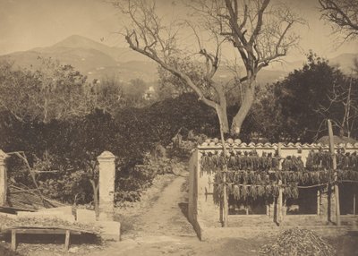 पहाड़ों के साथ कृषि दृश्य द्वारा लुई क्रेते