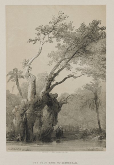मिस्र और नूबिया, वॉल्यूम III: द होली ट्री ऑफ मीटरहै, 1849। द्वारा लुई हागे