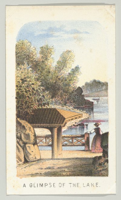 श्रृंखला से झील की एक झलक, सेंट्रल पार्क, न्यूयॉर्क में दृश्य, भाग 2, 1864। द्वारा लुइस प्रांग